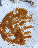 Golden Seed Bead