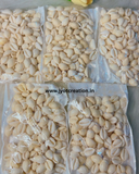 Natural White Cowrie Shells