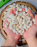 Natural White Cowrie Shells